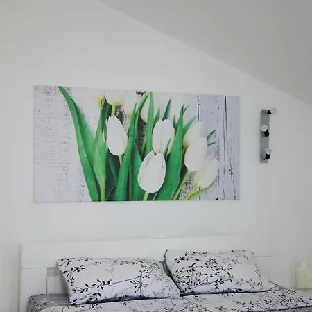 Cosy Nest