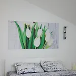 Cosy Nest