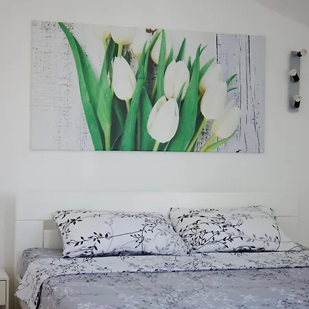 Lägenhet Cosy Nest Split